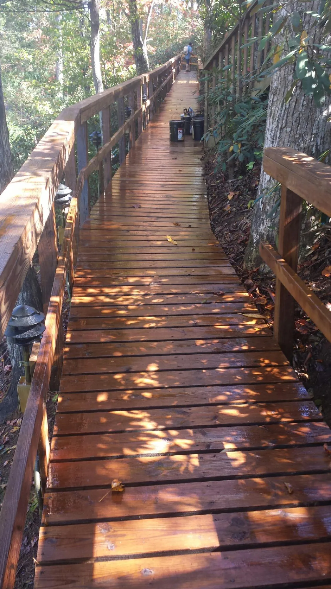 Freshly stained wood walkway winding through the woods in Dover